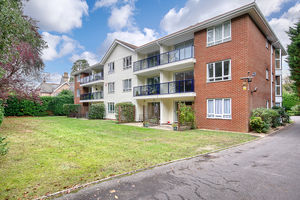 Communal Gardens- click for photo gallery